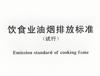 酒店廚房設(shè)備生產(chǎn)廠家和聊聊國家對(duì)餐飲行業(yè)油煙排放的要求